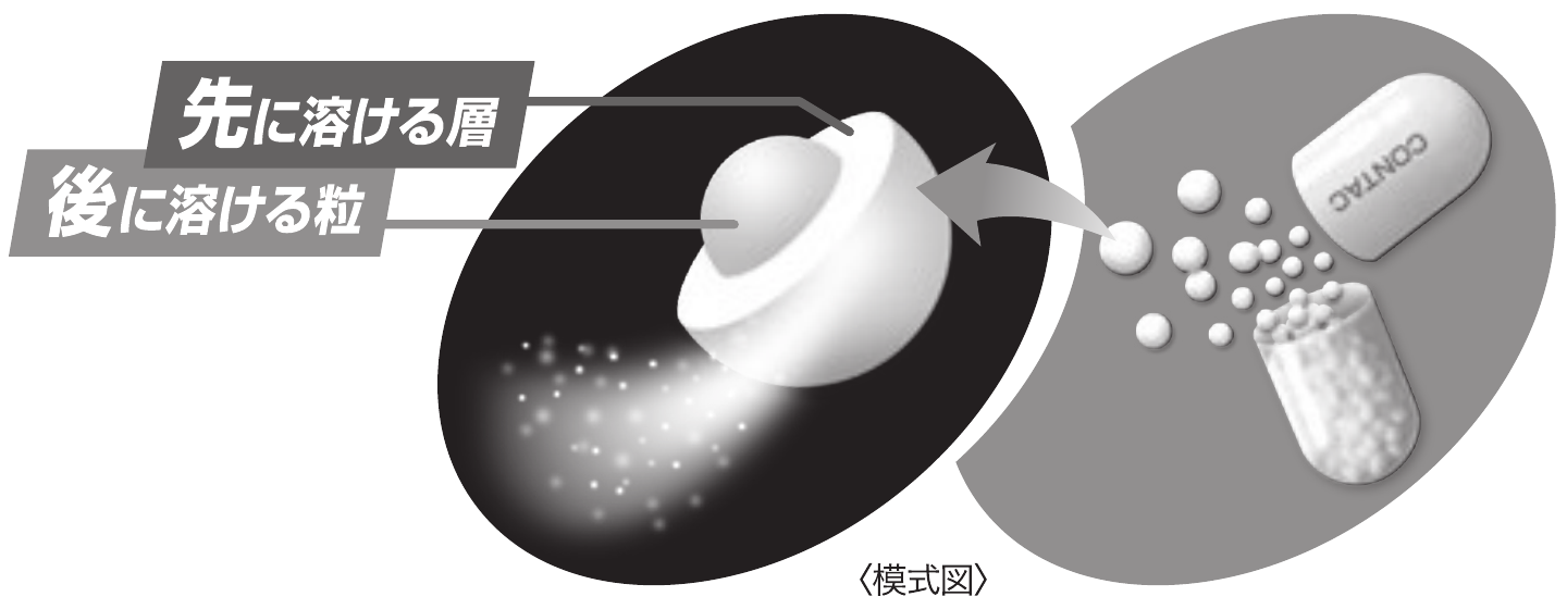 官方膠囊示意圖:外層先溶解,內層顆粒較慢溶解