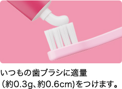 獅王示意圖:牙刷取 Dent Health Bb 約 0.3 g、長約 0.6 cm