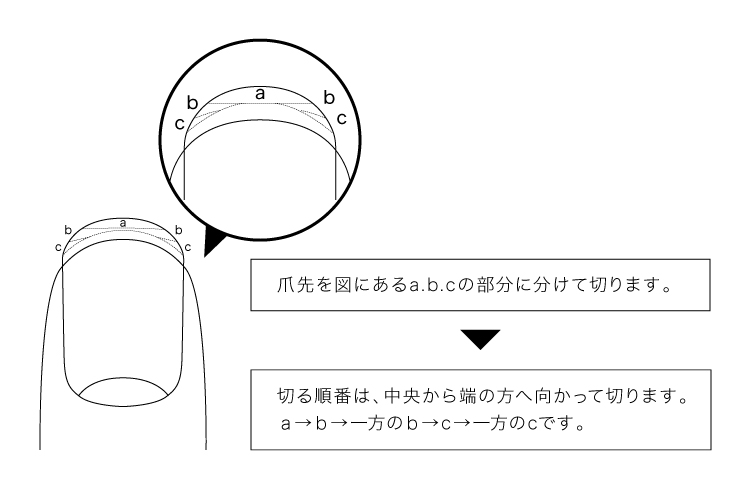 KAI general trimming diagram marking centre a, b on each side, then c on each side