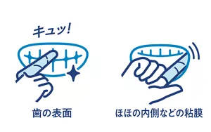以手指包著濕巾擦拭牙齒表面和臉頰內側的官方示意圖