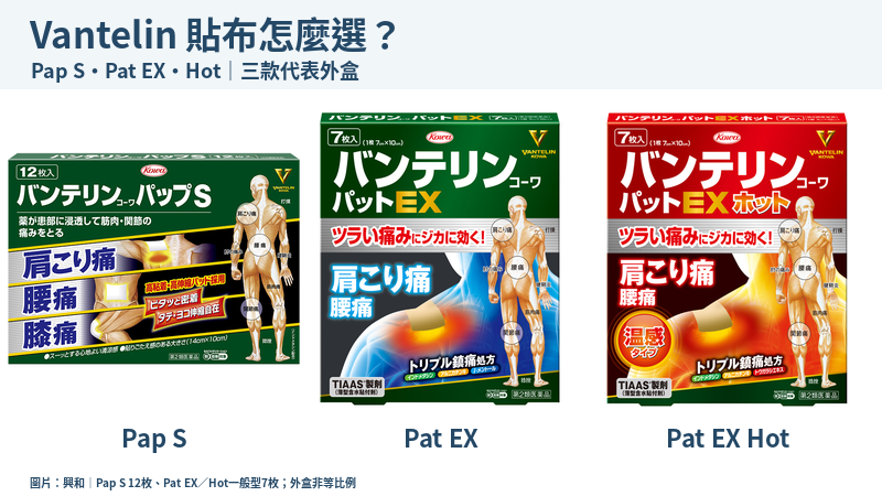 Vantelin Pap S12枚、Pat EX一般型7枚與Pat EX Hot一般型7枚完整代表外盒